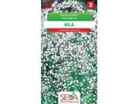 Aros Semena Šáter latnatý (Gypsophila elegans) Aros Semena Šáter latnatý (Gypsophila elegans)