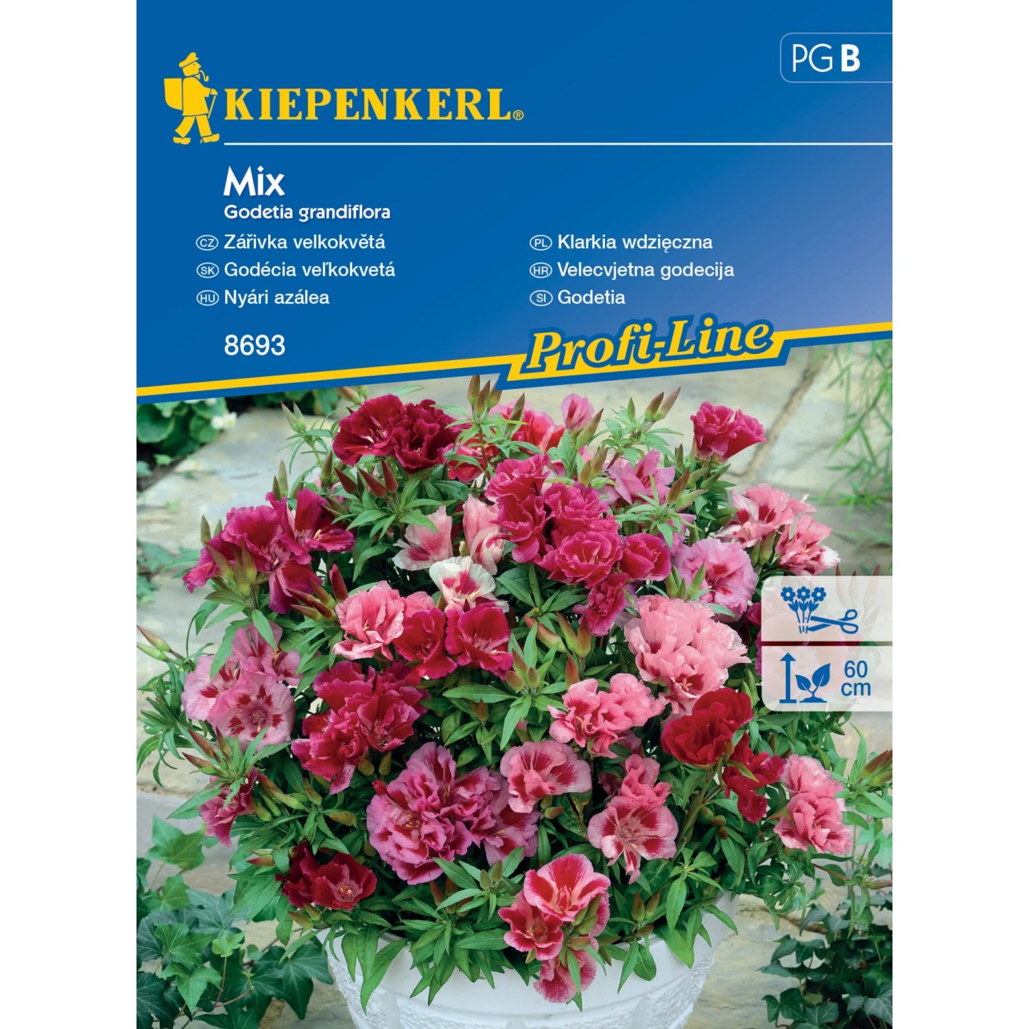 Kiepenkerl Semínka Zářivka velkokvětá mix