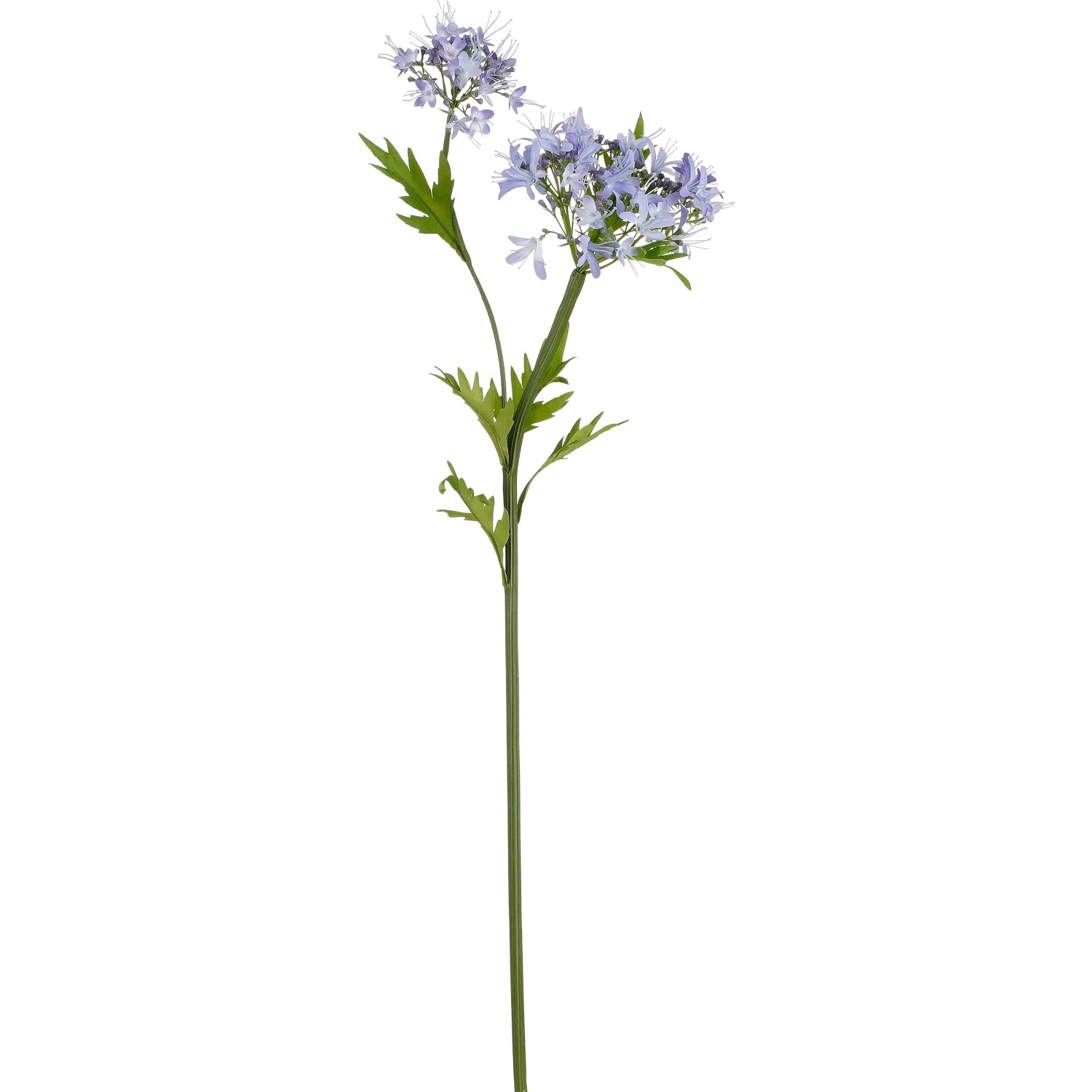 Mica Decorations Umělá rostlina kalokvět (Agapanthus), modrá, 75 cm