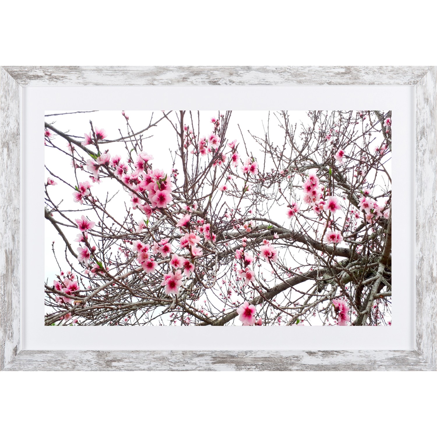 Bondecor Obraz v moderním rámu Modern 37 x 53 cm