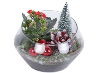 Zimní aranžmá kolopejky ve skleněném květináči, pr. 20 cm Zimní aranžmá kolopejky ve skleněném květináči, pr. 20 cm