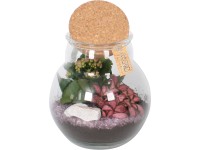 Aranžmá rostlin ve sklenici s korkovou zátkou průměr květináče cca 18 cm