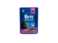 Brit Kapsička pro kočky Premium Cat Pouches s krocanem a kuřecím 100 g Brit Kapsička pro kočky Premium Cat Pouches s krocanem a kuřecím 100 g