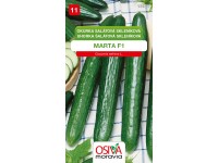Semínka Okurka salátová skleníková Marta F1 (Cucumis sativus L.)