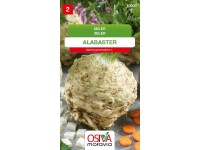 Aros Semena Celer Alabaster (Apium graveolens L.) Aros Semena Celer Alabaster (Apium graveolens L.)