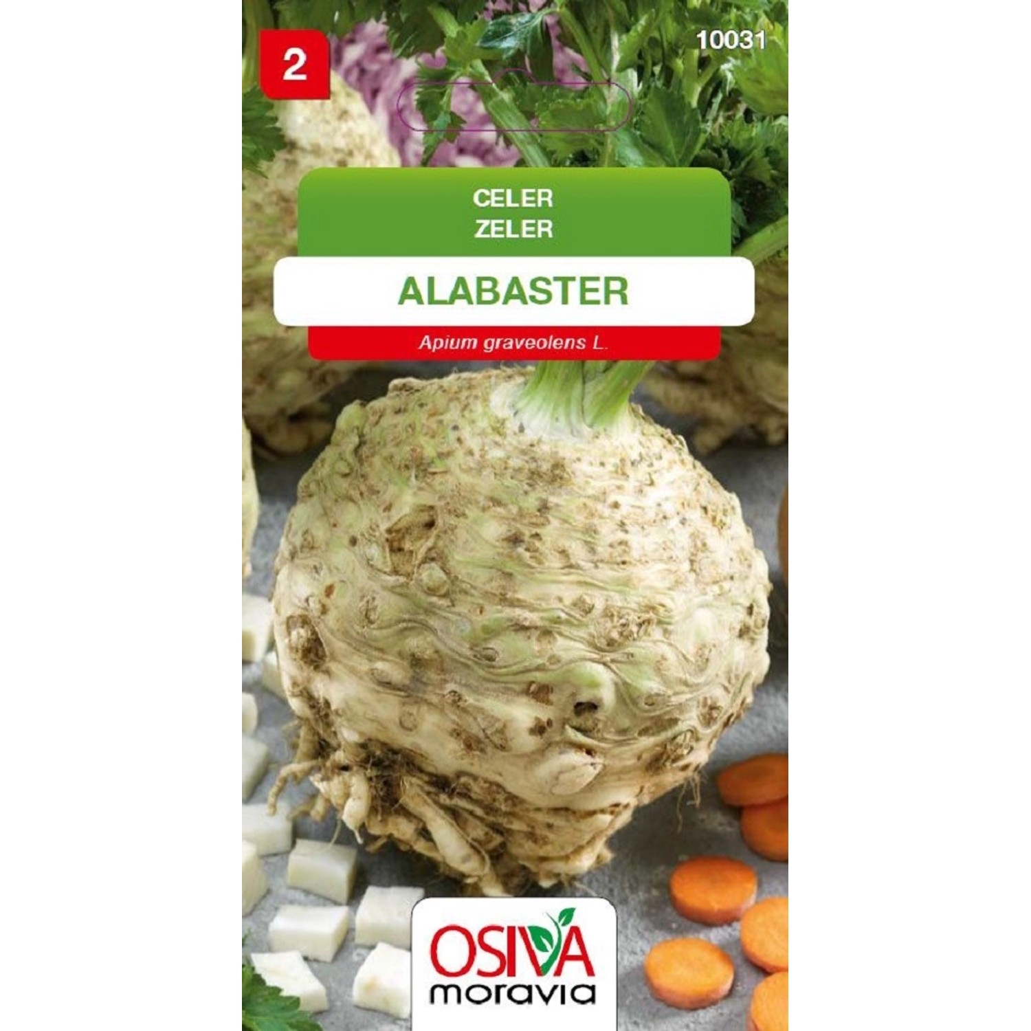 Aros Semena Celer Alabaster (Apium graveolens L.)