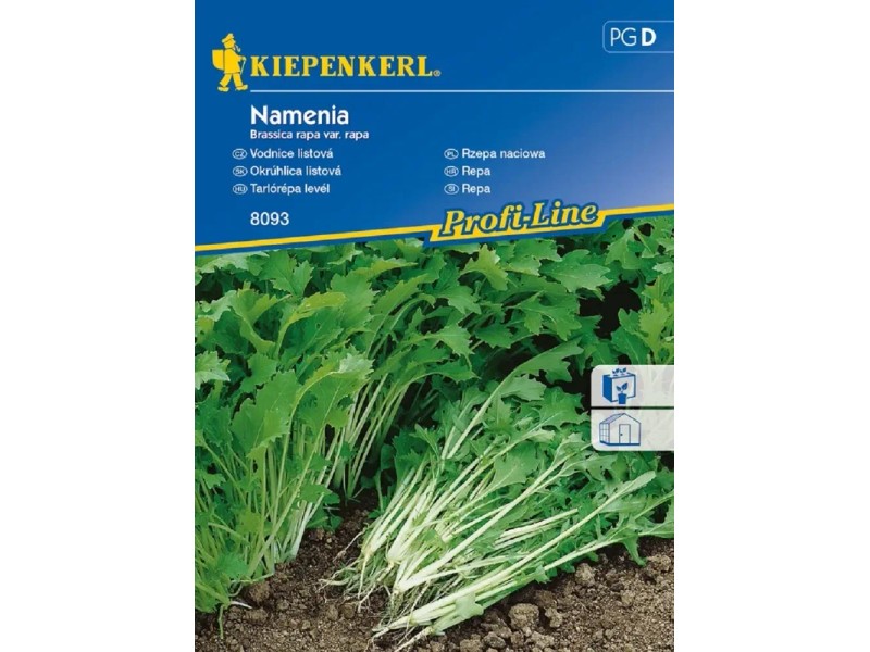 Recepten met raapstelen | Populaire Allerhande recepten | Albert