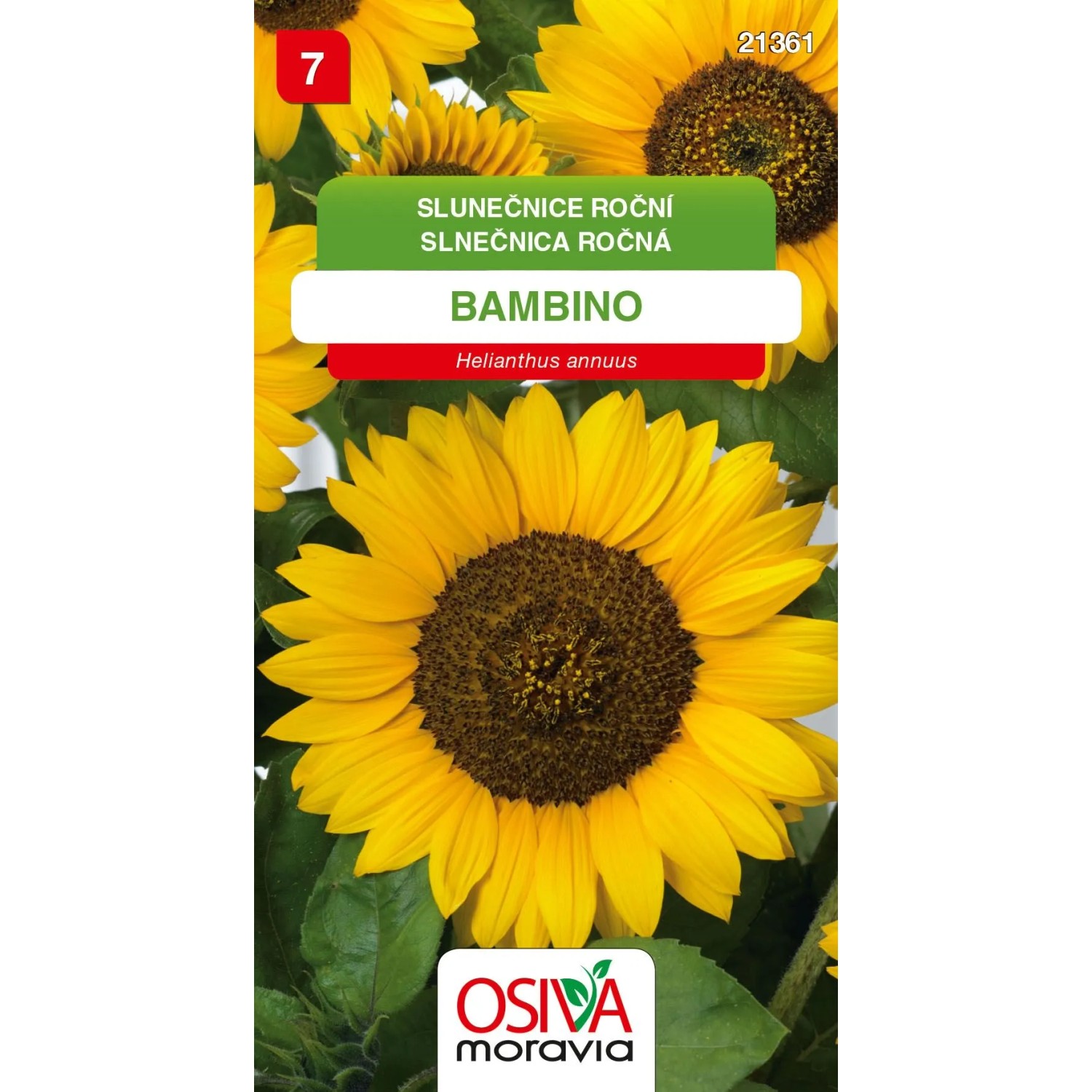 OSIVA Moravia Slunečnice roční "Bambino" (Helianthus annuus)