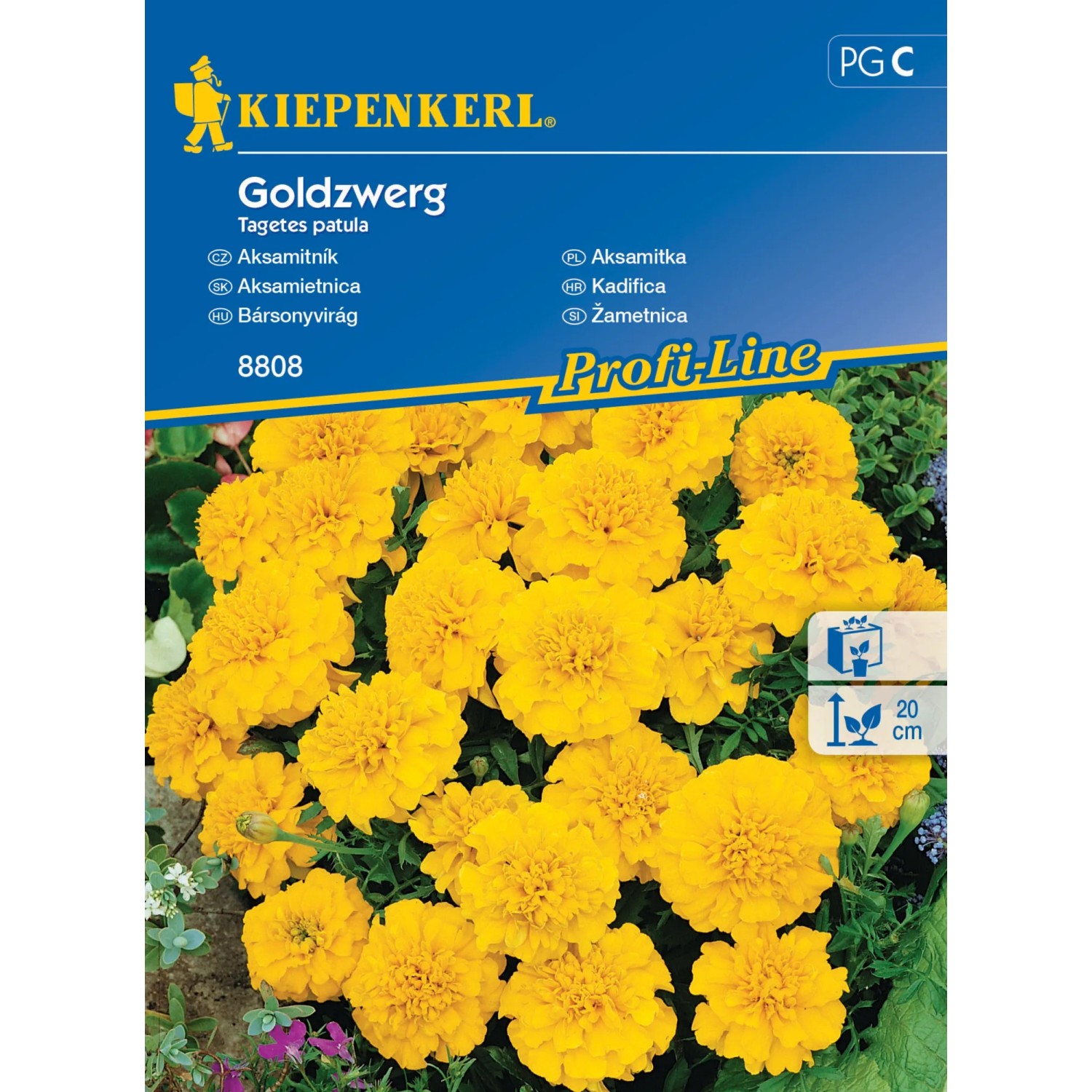 Kiepenkerl Semínka Aksamitník Goldzwerg