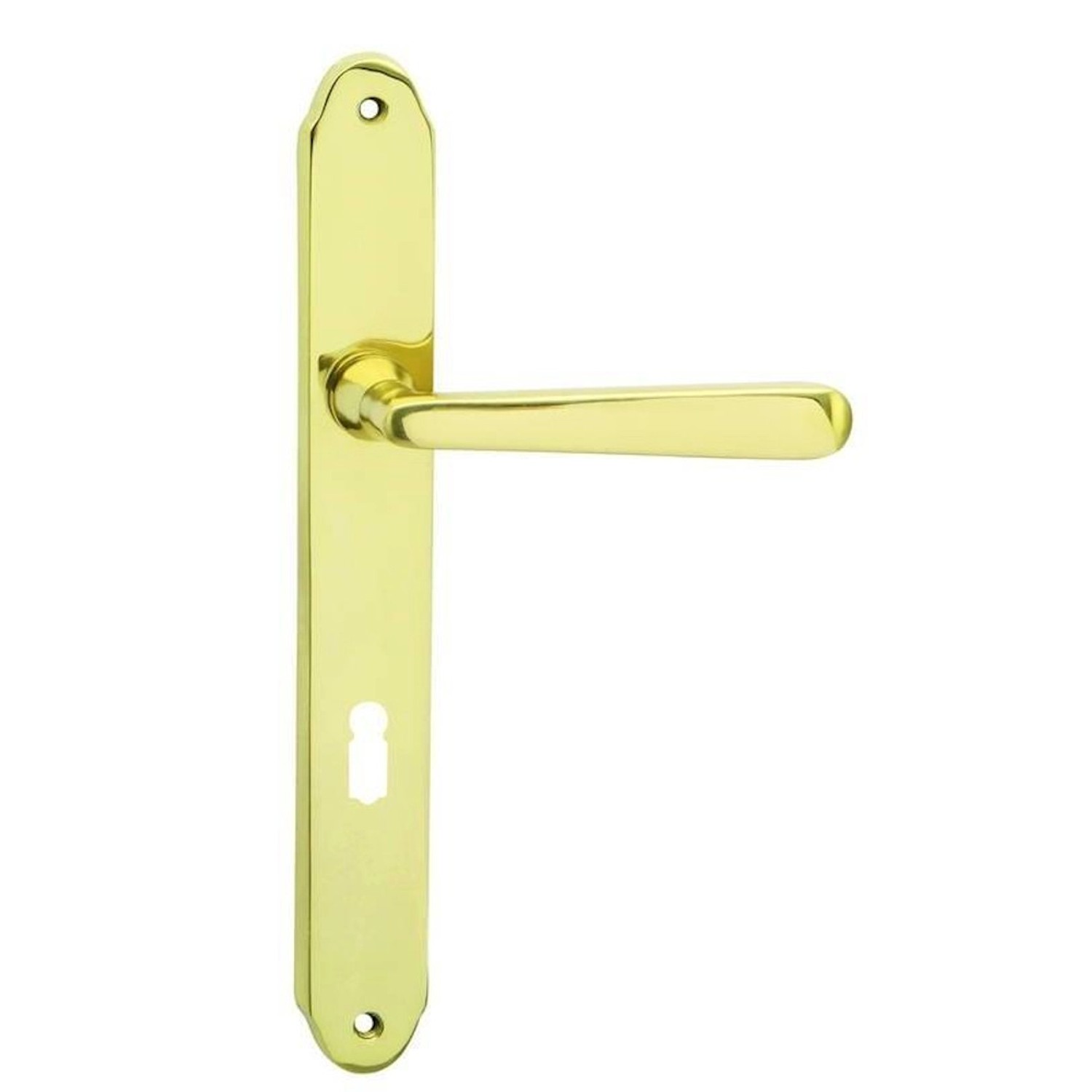 Cobra Štítové dveřní kování ALT-WIEN BB 90, lesklá mosaz