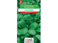 Semínka Kozlíček polníček Louviers (Valeiranella locusta)