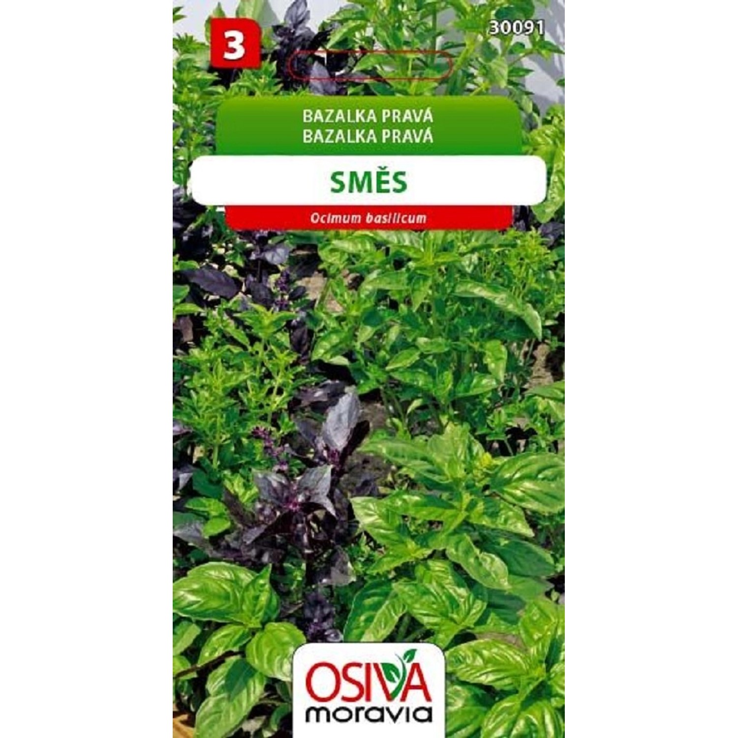 Bazalka Pravá - směs odrůd (Ocimum basilicum)