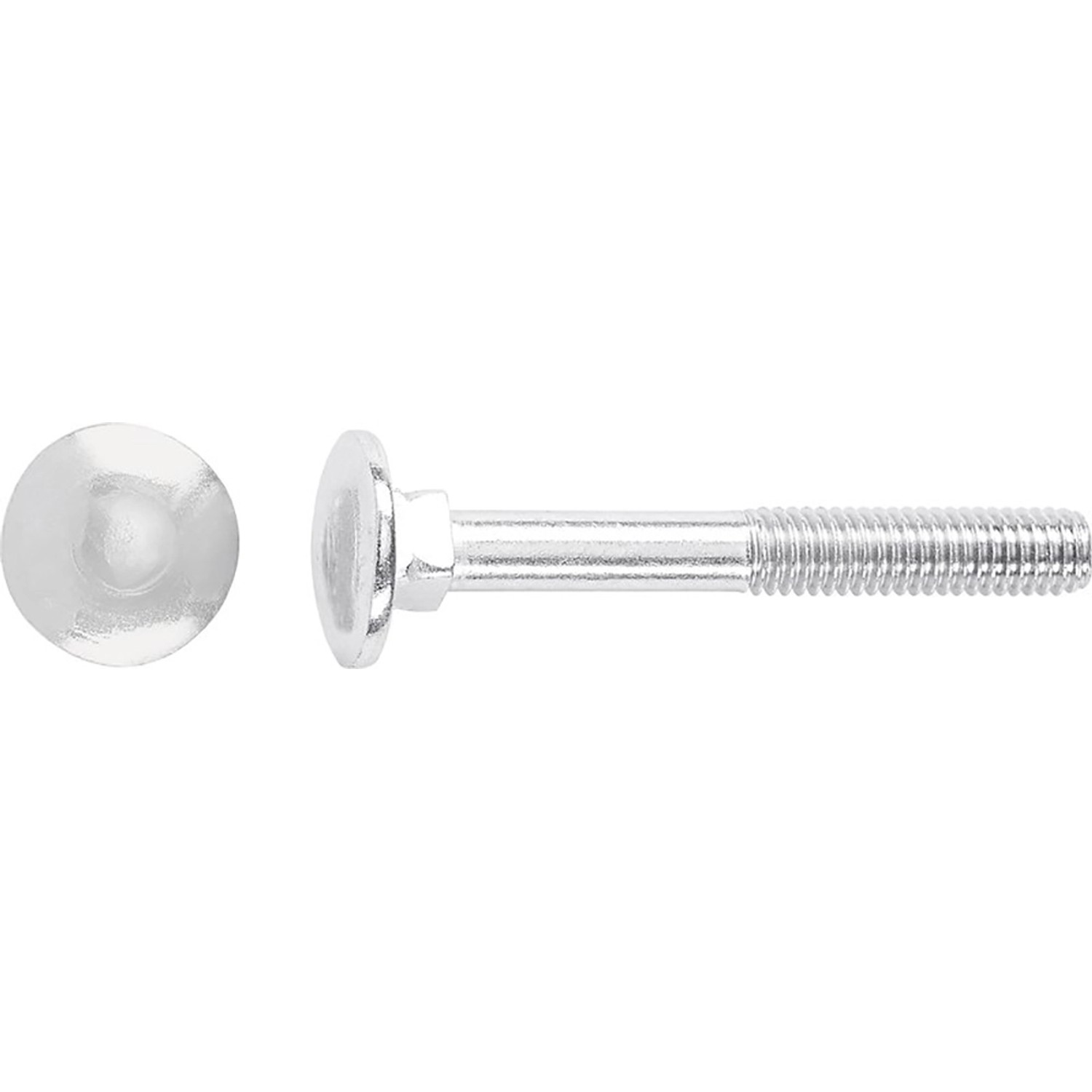 Vratový šroub M10 x 40 mm částečný závit bíle pozinkovaný - na váhu