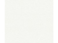 A. S. Creation Přetíratelná vliesová tapeta Meistervlies Creativ bílá 323613 A. S. Creation Přetíratelná vliesová tapeta Meistervlies Creativ bílá 323613