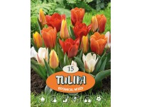 Tulipány 
