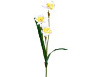 Umělé narcisy 3 květy bílo-žluté 57 cm