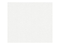 A. S. Creation Přetíratelná vliesová tapeta Meistervlies Creativ bílá 245816 A. S. Creation Přetíratelná vliesová tapeta Meistervlies Creativ bílá 245816