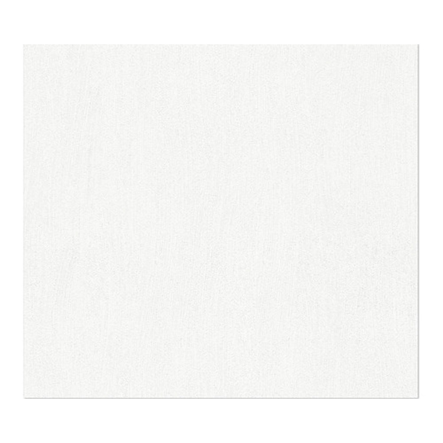 A. S. Creation Přetíratelná vliesová tapeta Meistervlies Creativ bílá 950918