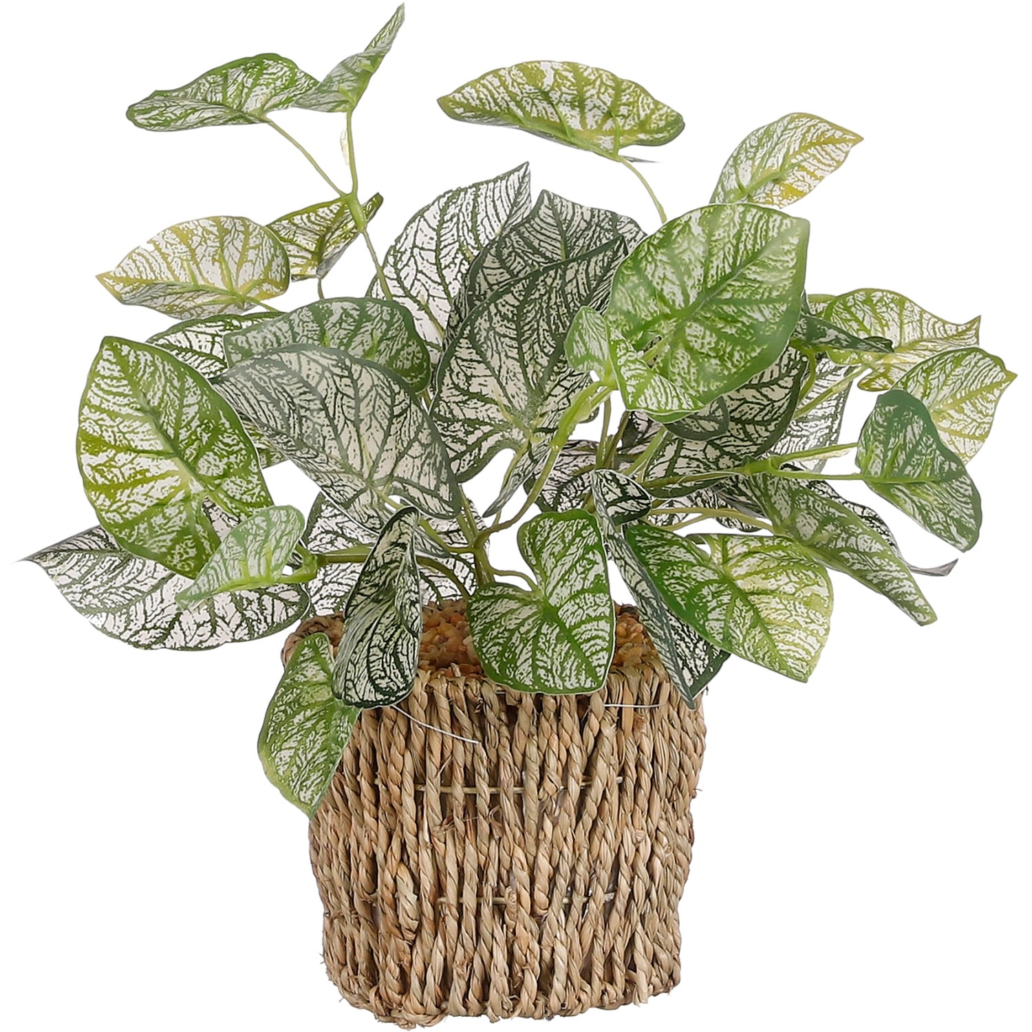 Mica Decorations Umělá begónie v košíčku, pr. 12 x 33 cm