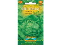 Gardenie Salát hlávkový Lento celoroční