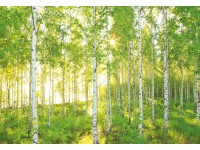 Komar Papírová fototapeta Sunday 368 x 254 cm Komar Papírová fototapeta Sunday 368 x 254 cm