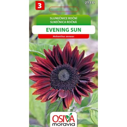 Semínka Slunečnice roční Evening Sun (Helianthus annuus)