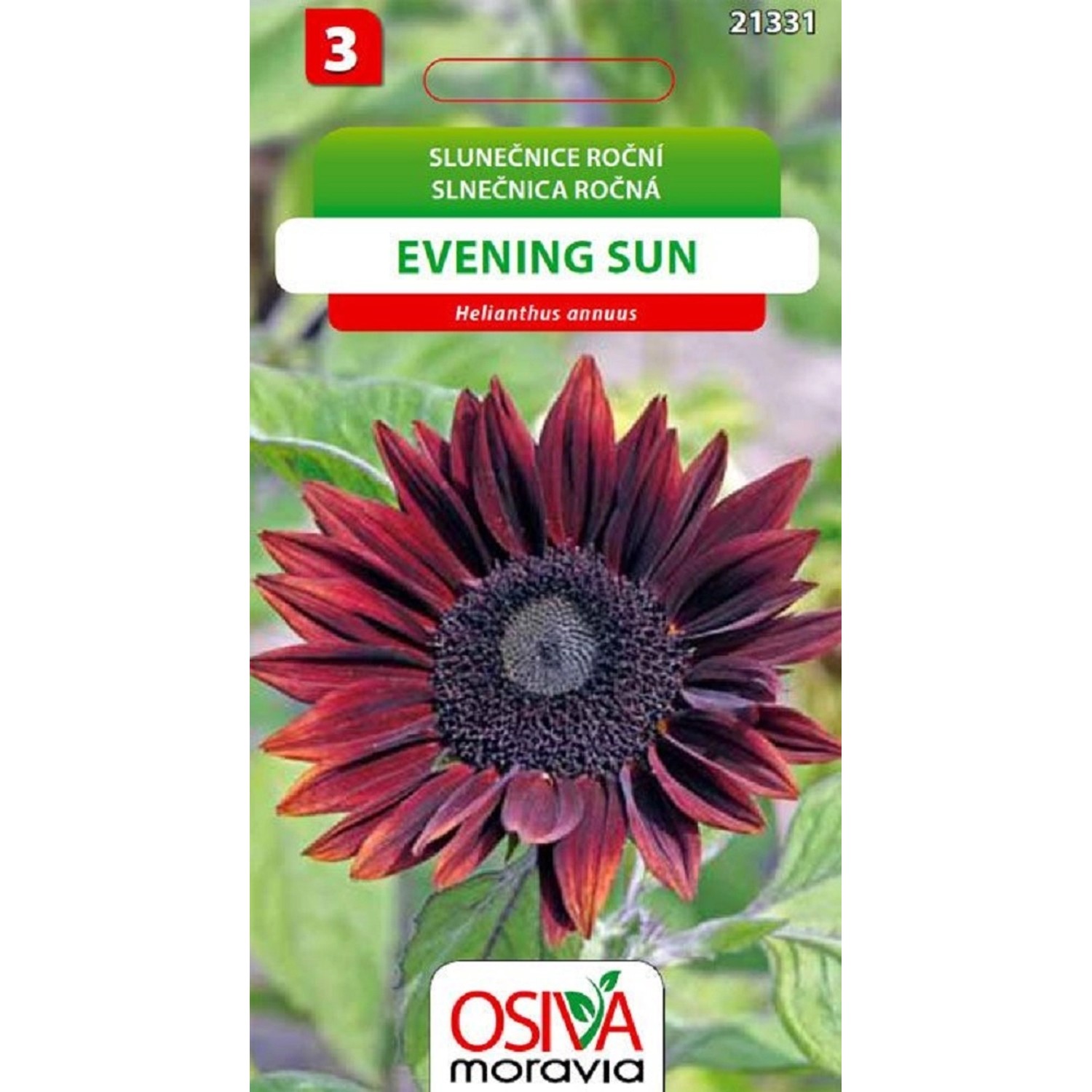 Semínka Slunečnice roční Evening Sun (Helianthus annuus)