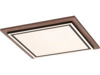 Paul Neuhaus LED stropní svítidlo Palma 50W 2500lm 2700-5000K 62 x 534 x 534 mm