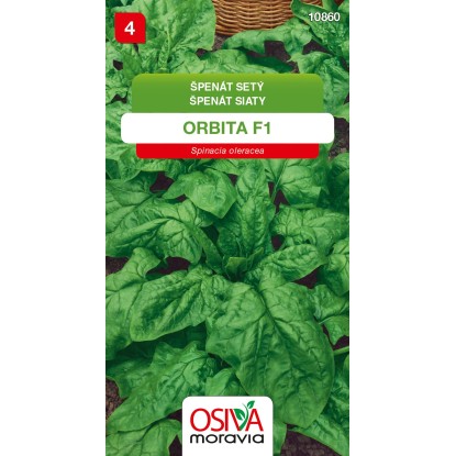 Semínka Špenát setý Orbita F1 (Spinacia oleracea)