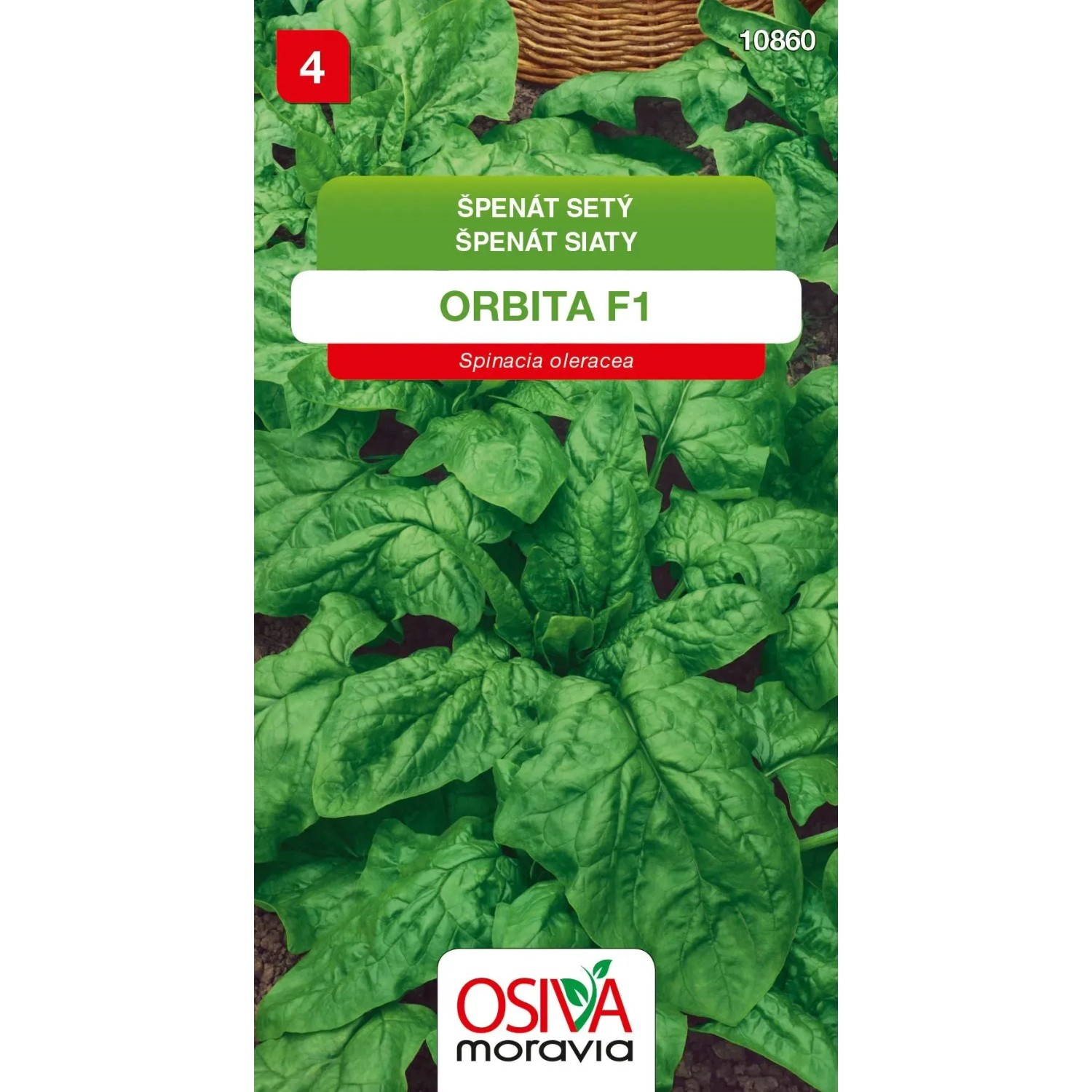 Semínka Špenát setý Orbita F1 (Spinacia oleracea)