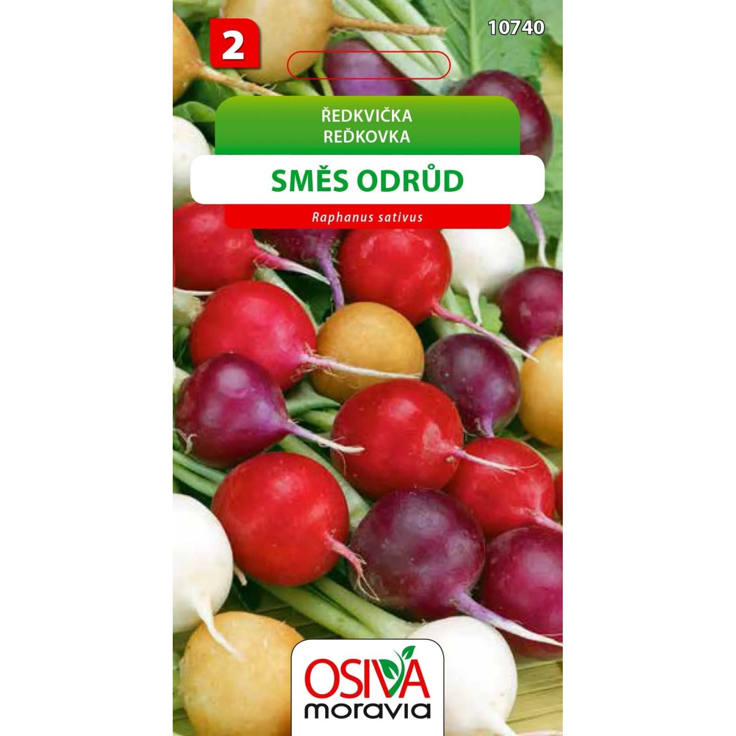 Ředkvička - směs odrůd (Raphanus sativus)