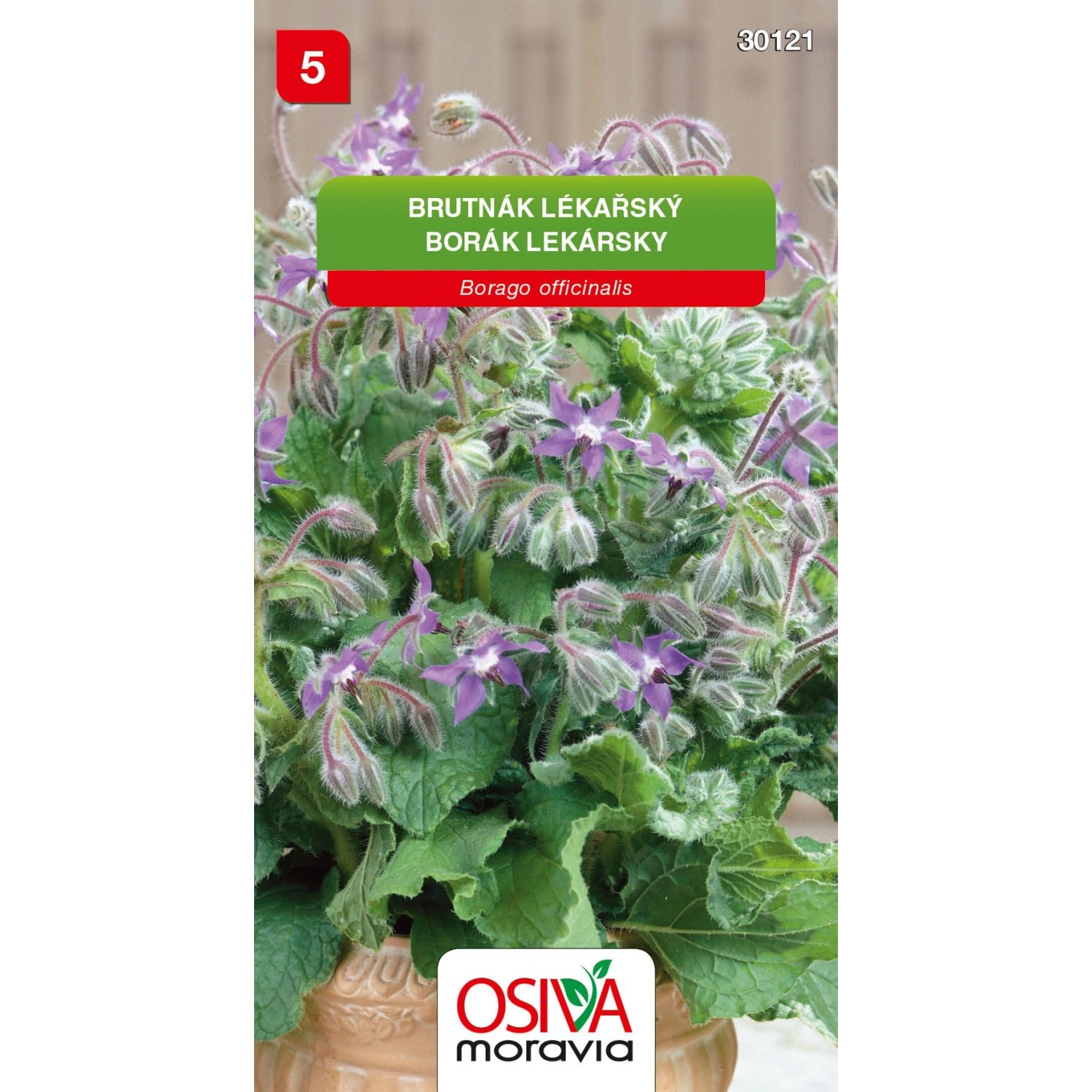 Semínka Brutnák lékařský (Borago officinalis)