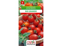 Rajče Keříčkové - Rio Grande (Solanum lycopersicum)