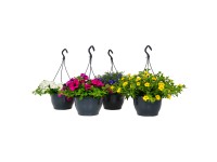 Venkovní rostliny mix v závěsném květináči pr. 23 cm