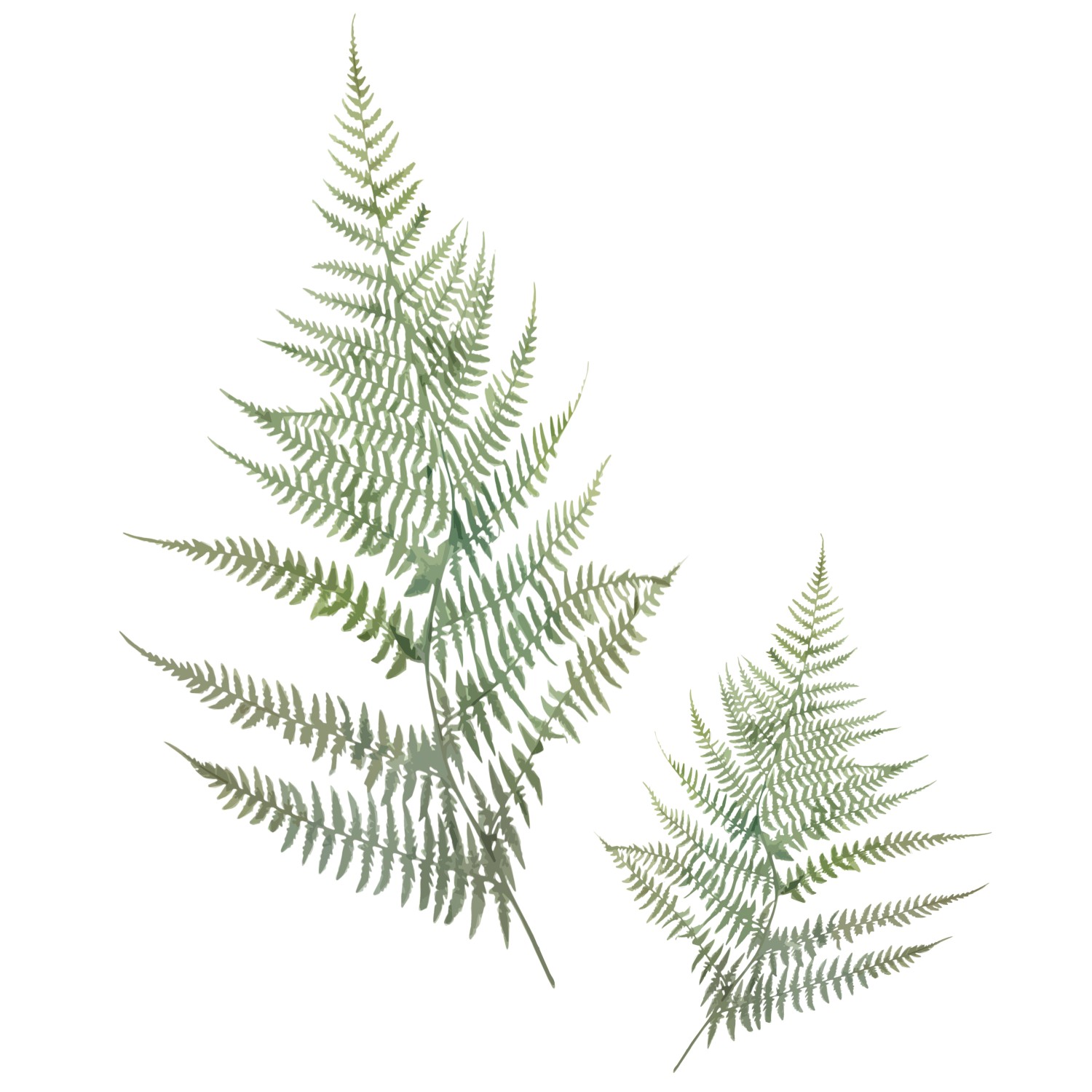 baliv Nálepka na dlaždice, zelená