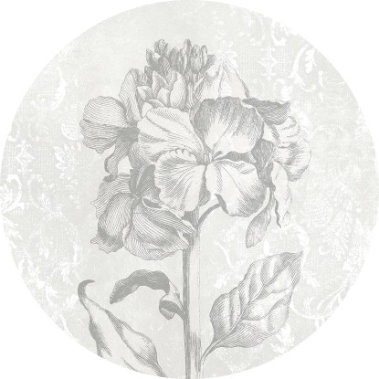 Komar Samolepicí vliesová fototapeta Dot Barock Beauty pr. 125 cm