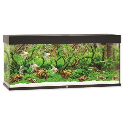 Juwel Aquarium Akvarijní set Rio LED, černý, 240 l, 121 x 41 x 55 cm