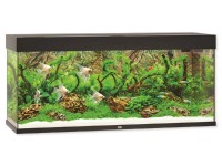 Juwel Aquarium Akvarijní set Rio LED, černý, 240 l, 121 x 41 x 55 cm