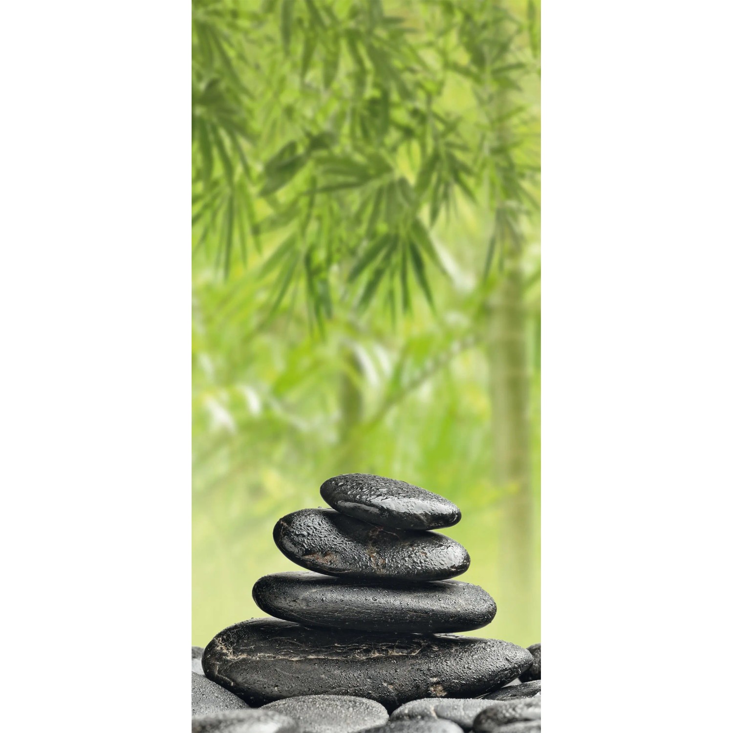 Levně Sanotechnik Dekorativní sprchový panel Sanowall, wellness L, 100 x 205 cm