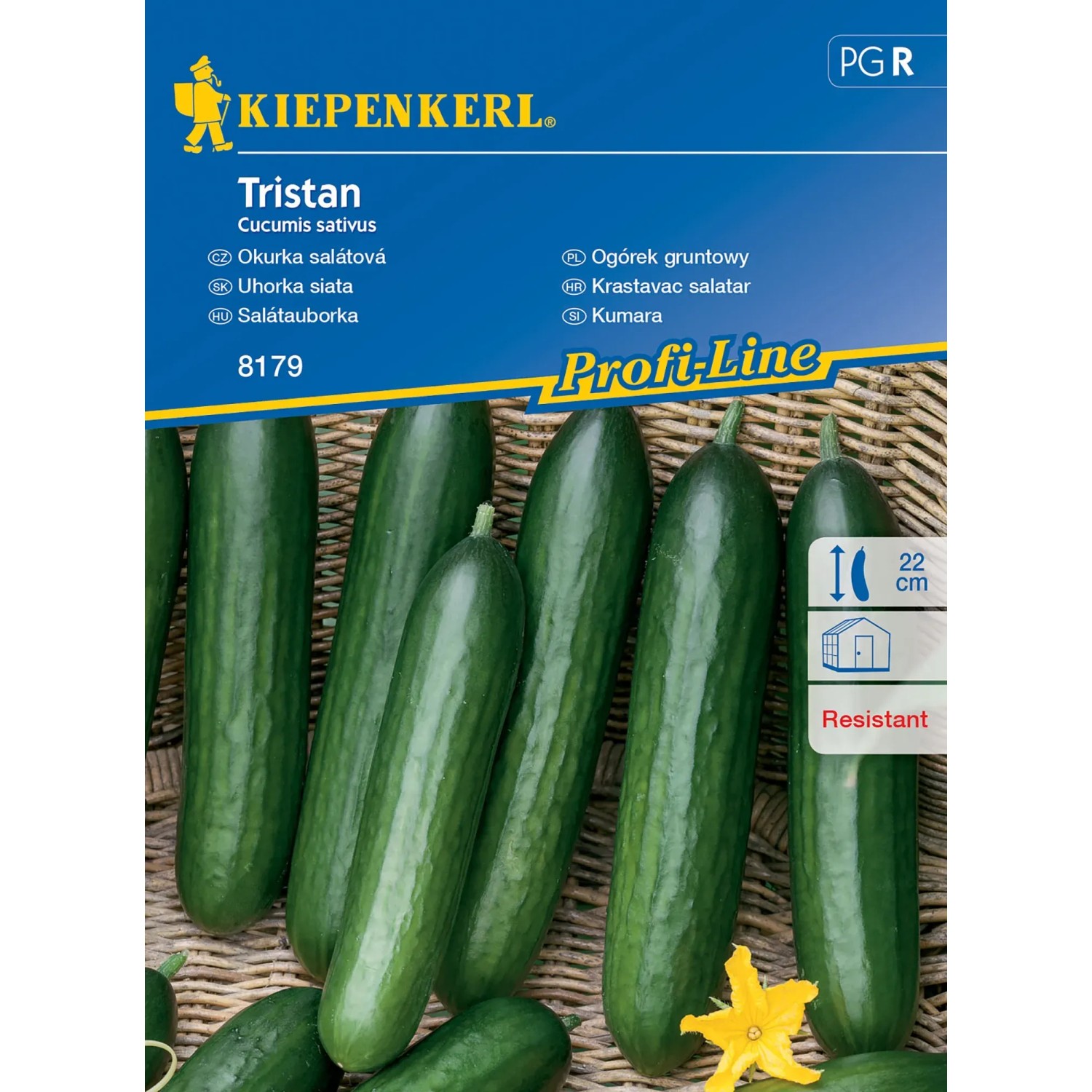 Kiepenkerl Salátová okurka Tristan