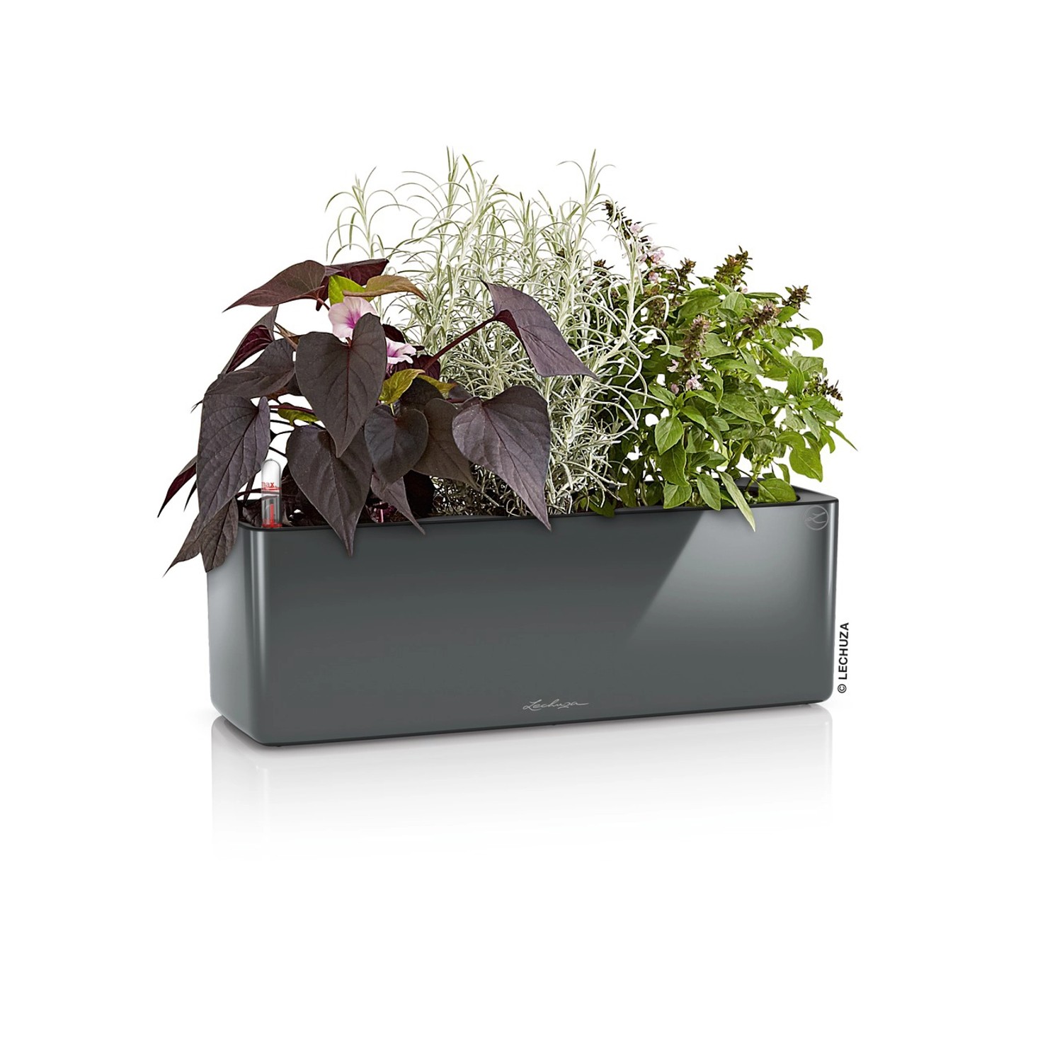 Lechuza Truhlík Cube Glossy Triple antracitový, 135 x 140 x 400 mm