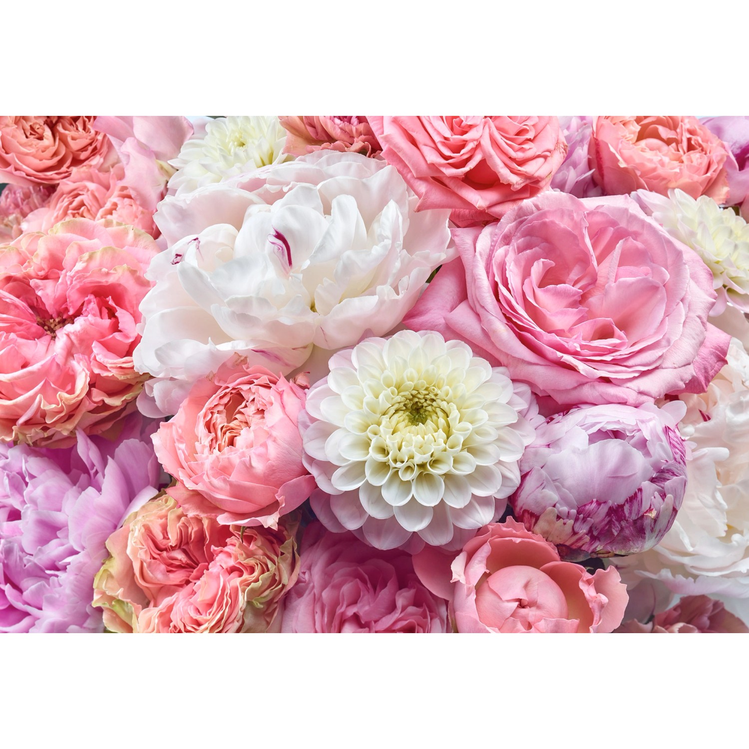 Komar Papírová fototapeta Vibrant Spring 368 x 254 cm