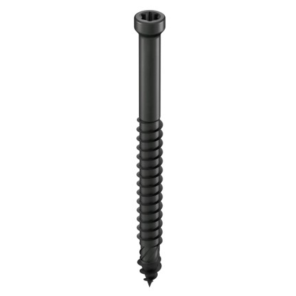 GS Terrassen Šroub do dřeva/WPC válcová hlava, A4, černá, pr. 4,8 x 48 mm, 100ks