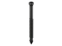 GS Terrassen Šroub do dřeva/WPC válcová hlava, A4, černá, pr. 4,8 x 48 mm, 100ks