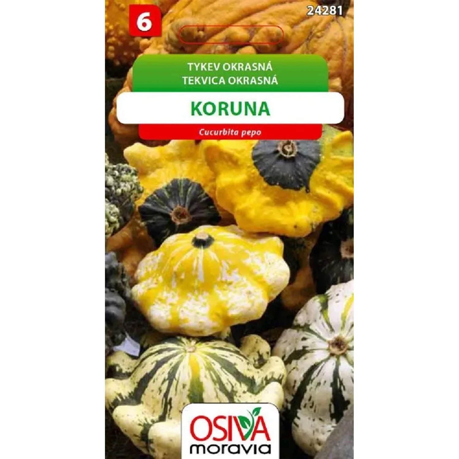 Semínka Tykev okrasná Koruna (Cucurbita pepo)