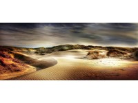 Bondecor Obraz, tištěné plátno Tendy 50 x 120 cm