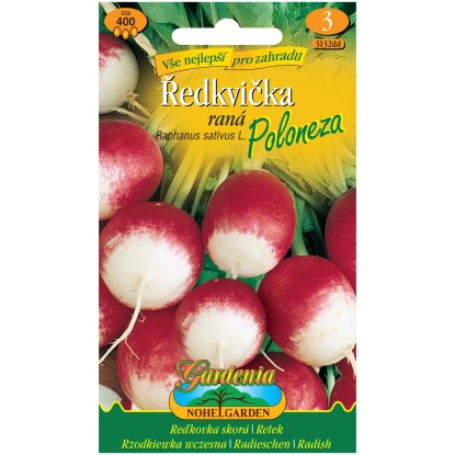 Gardenie Ředkvička Poloneza