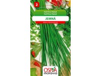 Semínka Pažitka pravá Jemná (Allium schoenoprasum)