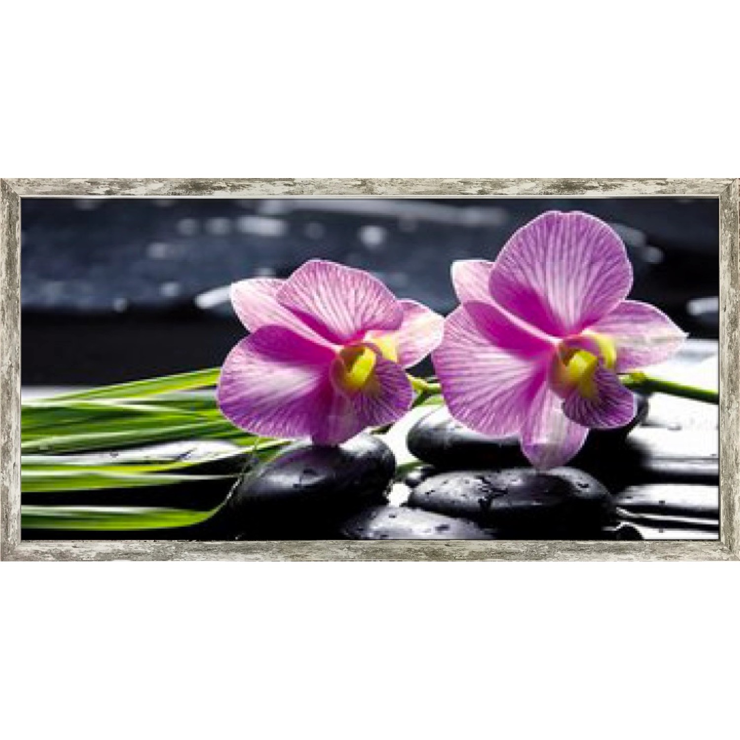 Bondecor Zarámovaný obraz Flora 53 x 103 cm