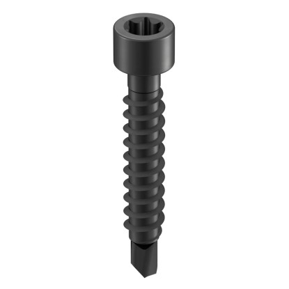 GS Terrassen Samovrtný šroub válcová hlava, A2, černá, pr. 4,2 x 28 mm, 100 ks